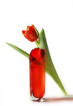你的花