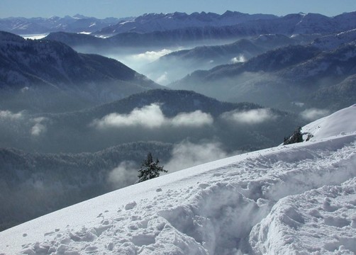 深雪和高山景色