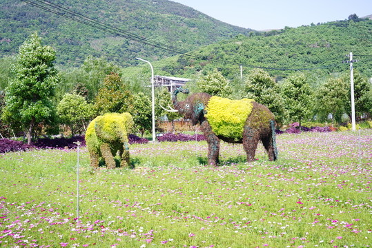 主題公園大象綠植