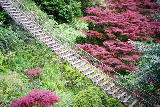 溫州雁蕩山