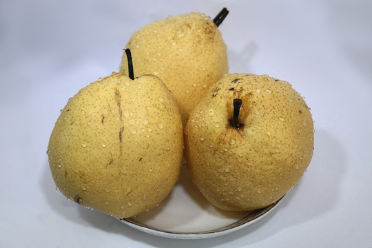 贡梨
