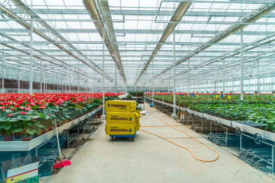 綠色植物基地