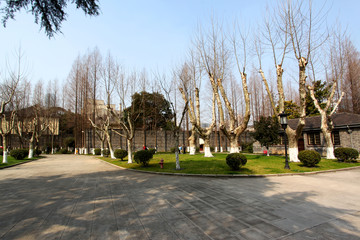 南京 總統(tǒng)府 樹木 園林 園藝