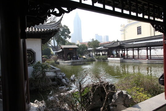 南京 總統(tǒng)府 樹木 園林 園藝
