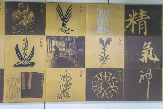 中醫(yī)背景墻 國(guó)醫(yī)堂 國(guó)醫(yī)館
