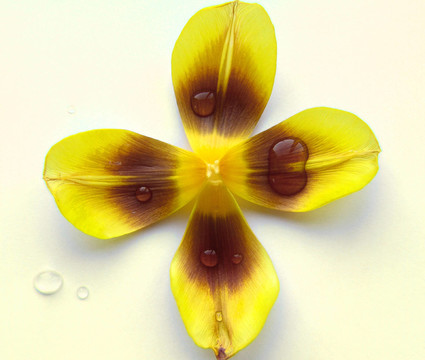 花
