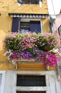 blumenfenster