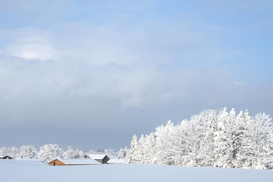 雪4