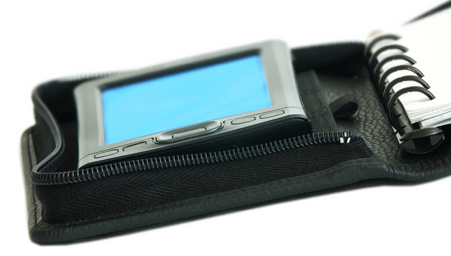 palm001
