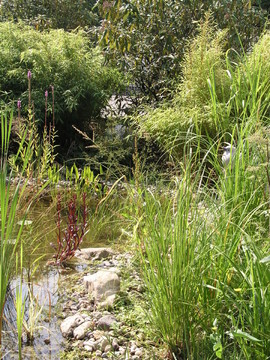 家里的花園