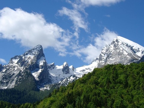 山的山王