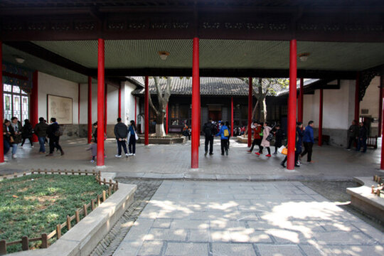 南京 總統(tǒng)府 樹(shù)木 園林 園藝