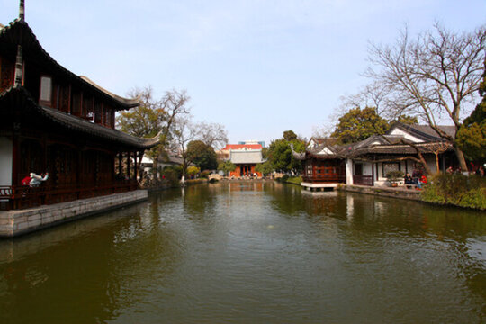 南京 總統(tǒng)府 樹(shù)木 園林 園藝