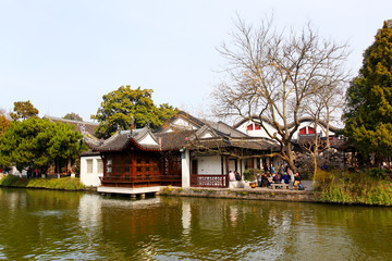 南京 總統(tǒng)府 樹木