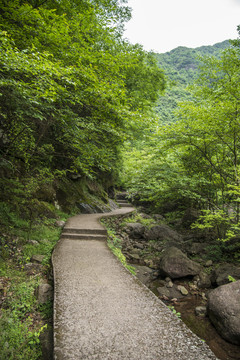 山路