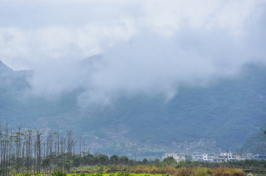 霧色山景
