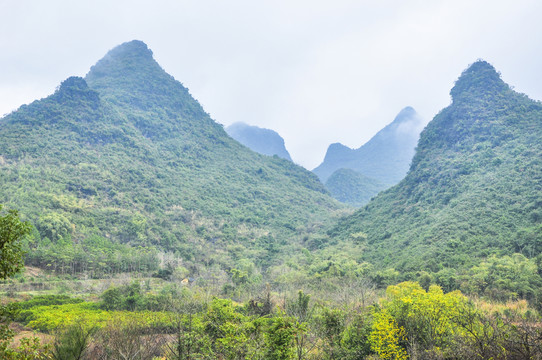 霧色山景