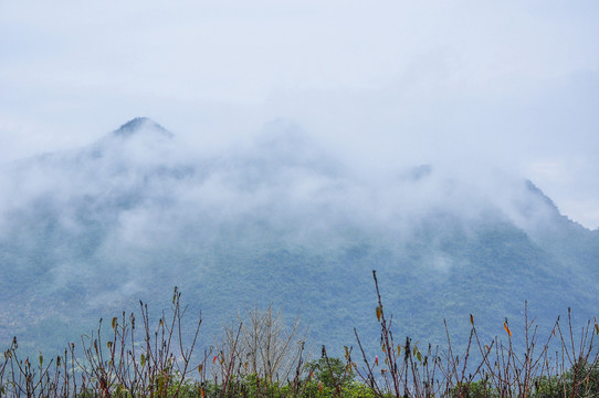 霧色山景