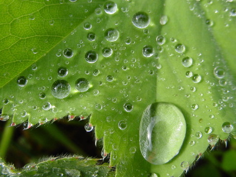 雨后