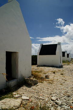 奴隸小屋II