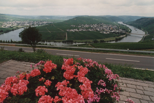 特里滕海姆，moselschleife