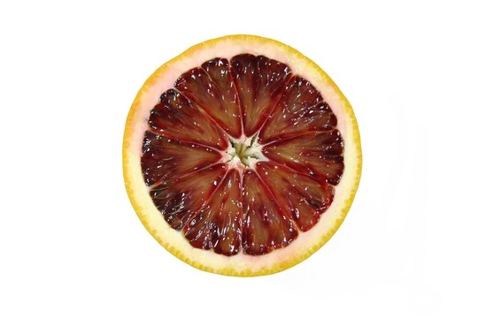 血橙
