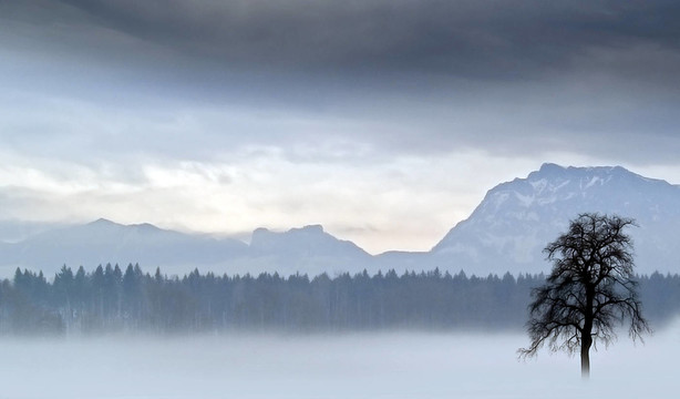 nebellandschaft