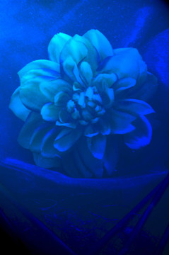 藍色的