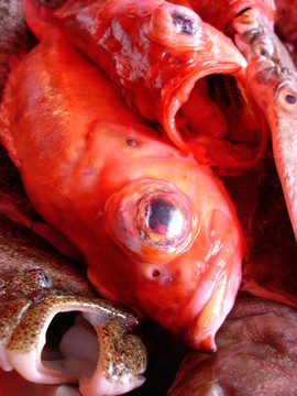 卑爾根魚市場(chǎng)