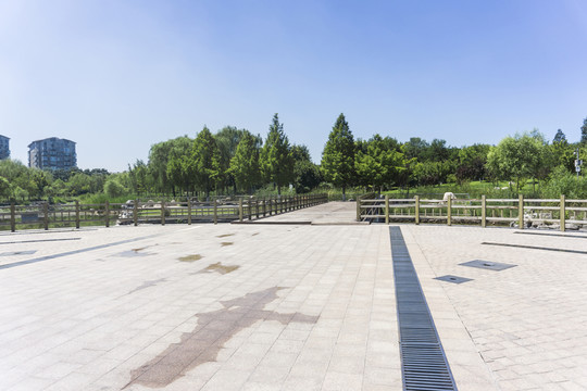 廣場地面