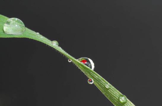雨后