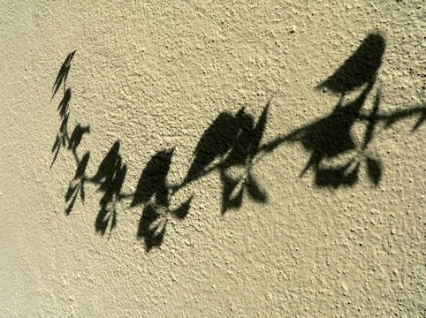 閃耀