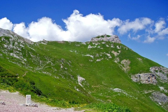 山家9