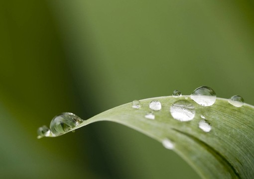雨滴