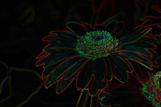 花朵背景 底紋 植物 花 花卉