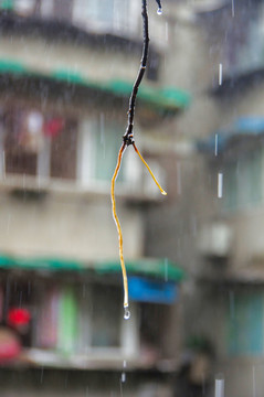 下雨天的窗臺