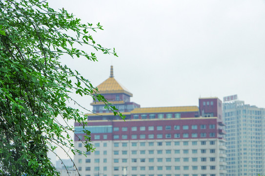 細雨中的城市