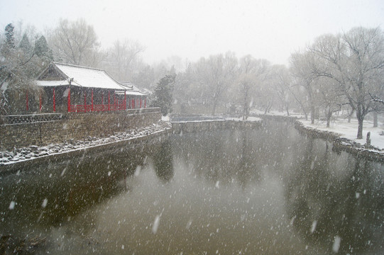 公園雪景