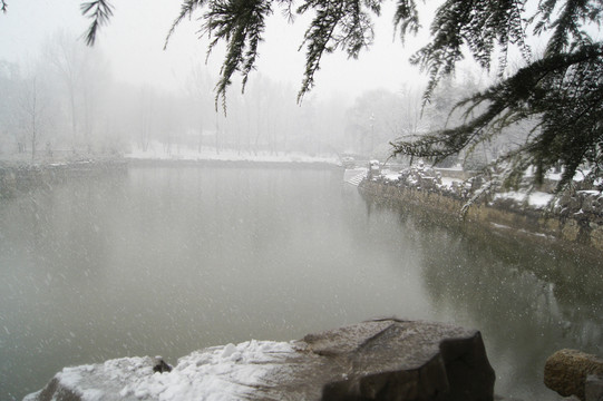 雪景