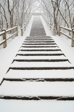 雪景臺階
