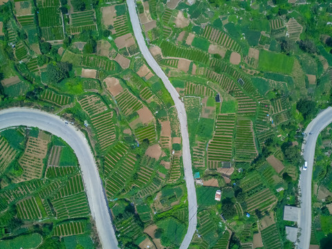 盤山路
