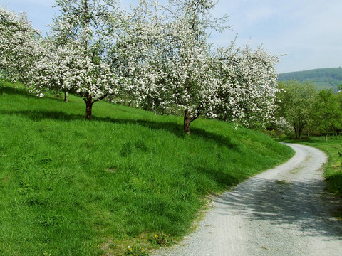 BLütenweg