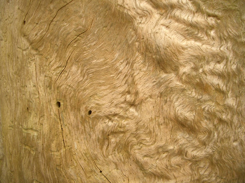 wood-f204
