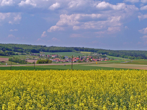 walldüRN特斯多夫