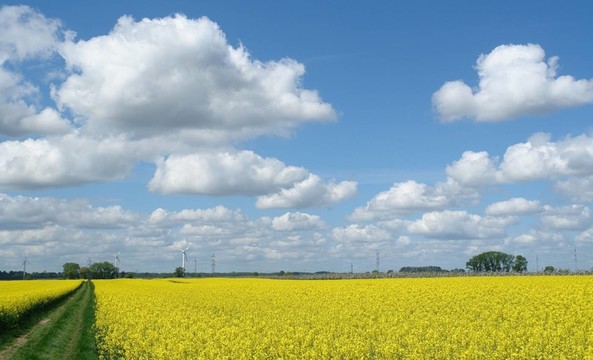 藍(lán)色的光芒