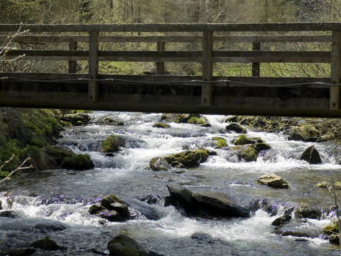 holzbrüCKE1