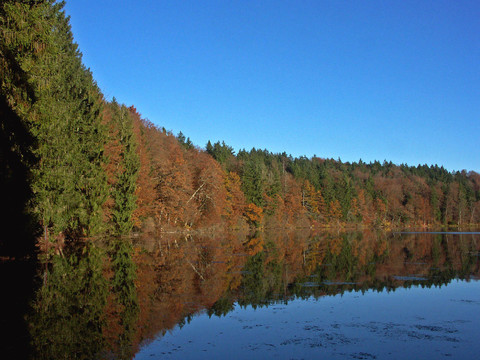 herbststimmung