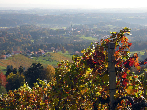 schilcherland 1