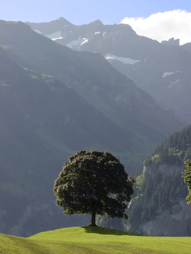 urnerboden山景中瑞士