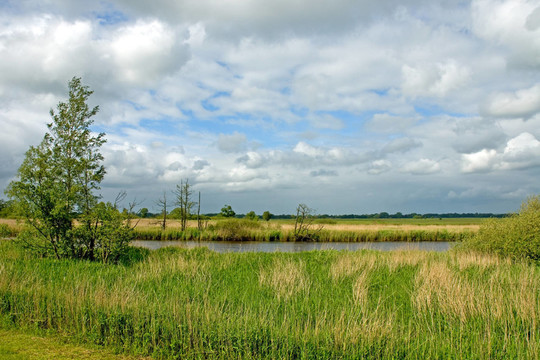 WüMME